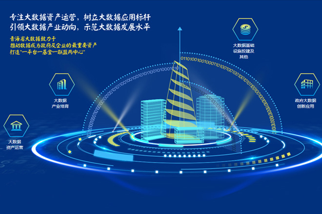 青海省大数据资产运营
