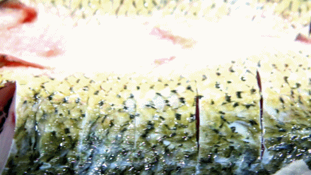 640 (11).gif