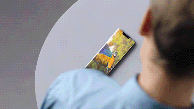 640 (6).gif
