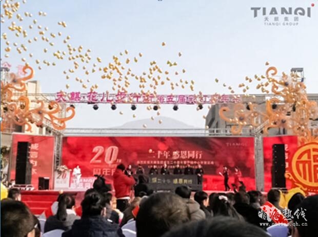 追梦二十年天麒集团20周年荣耀盛典璀璨绽放
