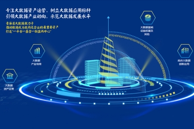 青海省大数据资产运营