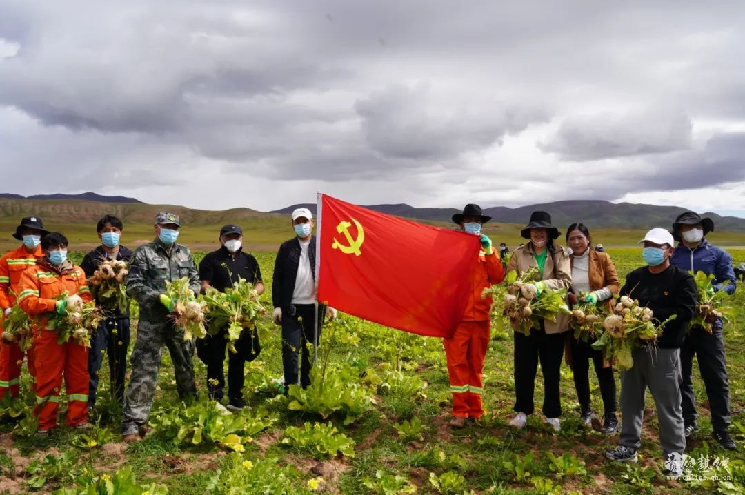  就地过节亦精彩 主题党日庆佳节 