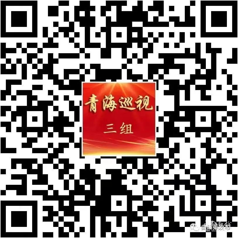巡视公告